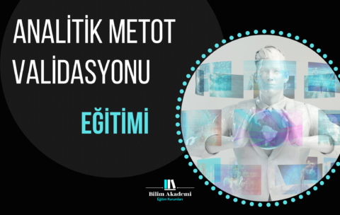 0156E9B7-44B1-4C43-A365-EC56097B1EB2