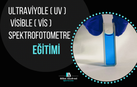 1A4CE578-1A36-444D-B345-3476767BBD72